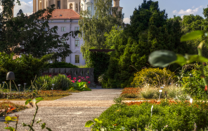 Altes Rathaus in Potsdam 