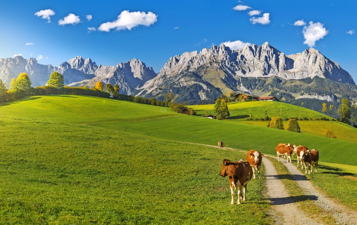 Herbststimmung Wilder Kaiser Tirol