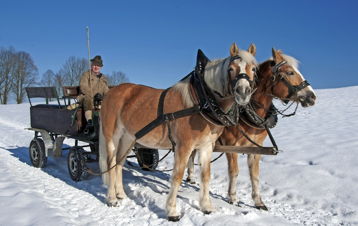 Pferdekutsche im Winter