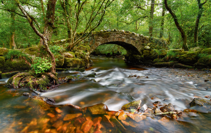 Dartmoor 