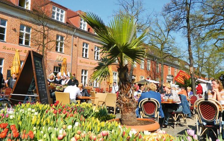 Holländisches Viertel, Potsdam