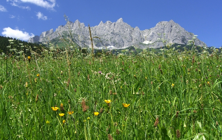 Wilder Kaiser