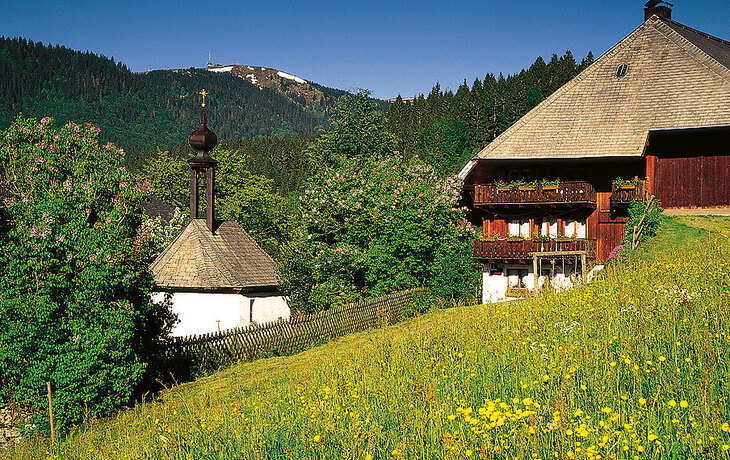 Schwarzwald